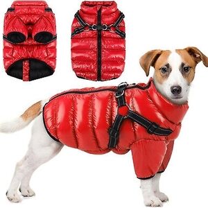 Red Dog Jacket